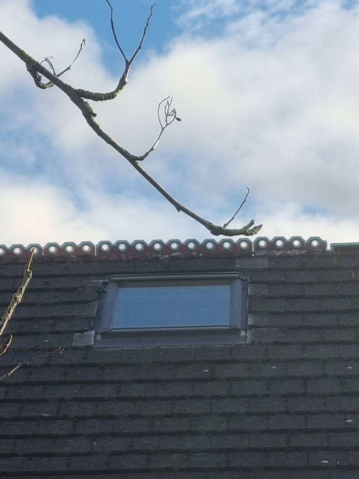 Dormer loft conversion Preston exterior